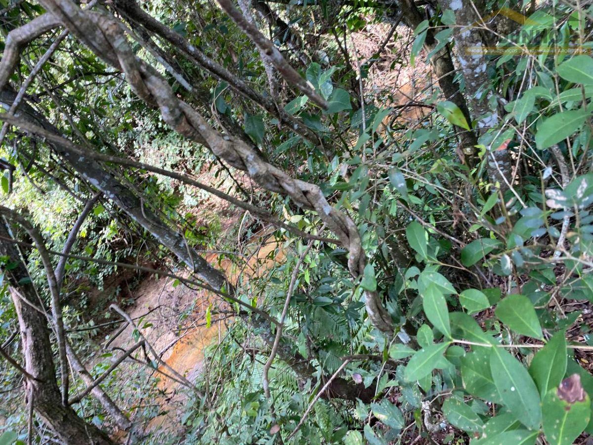 WhatsApp Image 2025-06-11 at 15.41.44 (1).jpeg